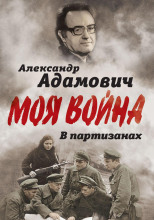 В партизанах