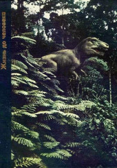 Жизнь до человека