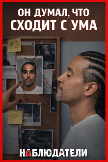 Двойник за решёткой