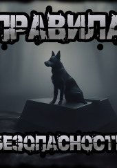 Правила безопасности