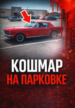 34 года поиска