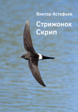 Стрижонок Скрип