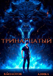 Тринадцатый. Том IV