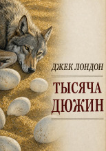 Тысяча дюжин