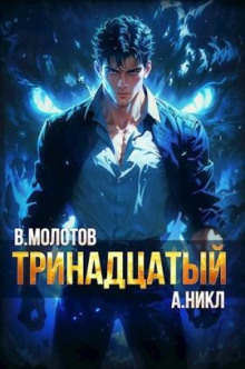 Тринадцатый. Том VI