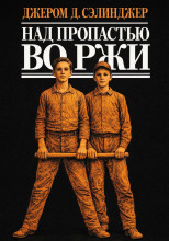 Над пропастью во ржи