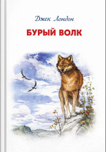 Бурый Волк