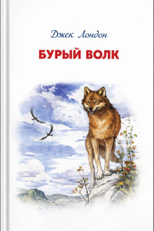 Бурый Волк