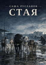 Стая