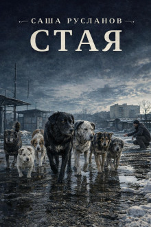 Стая
