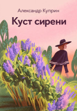 Куст сирени